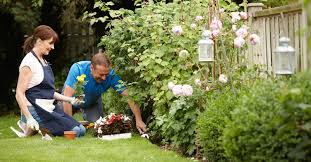 planten voor droge zandgrond