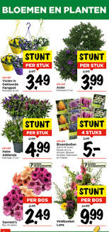 aanbieding planten