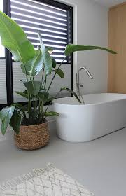 badkamer plant