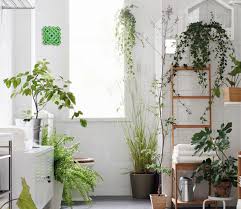 badkamer planten