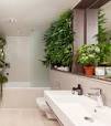 plant voor badkamer