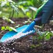 planten bakker