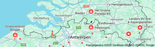 prei planten kopen