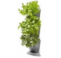gamma planten