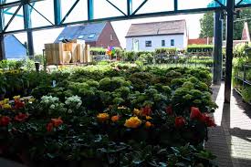 planten robberechts
