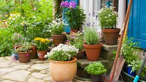 planten in pot buiten