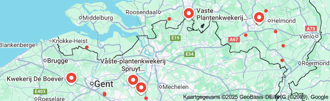 vaste planten kwekerij