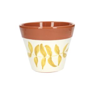 dille en kamille planten