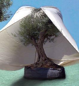 vliesdoek voor planten