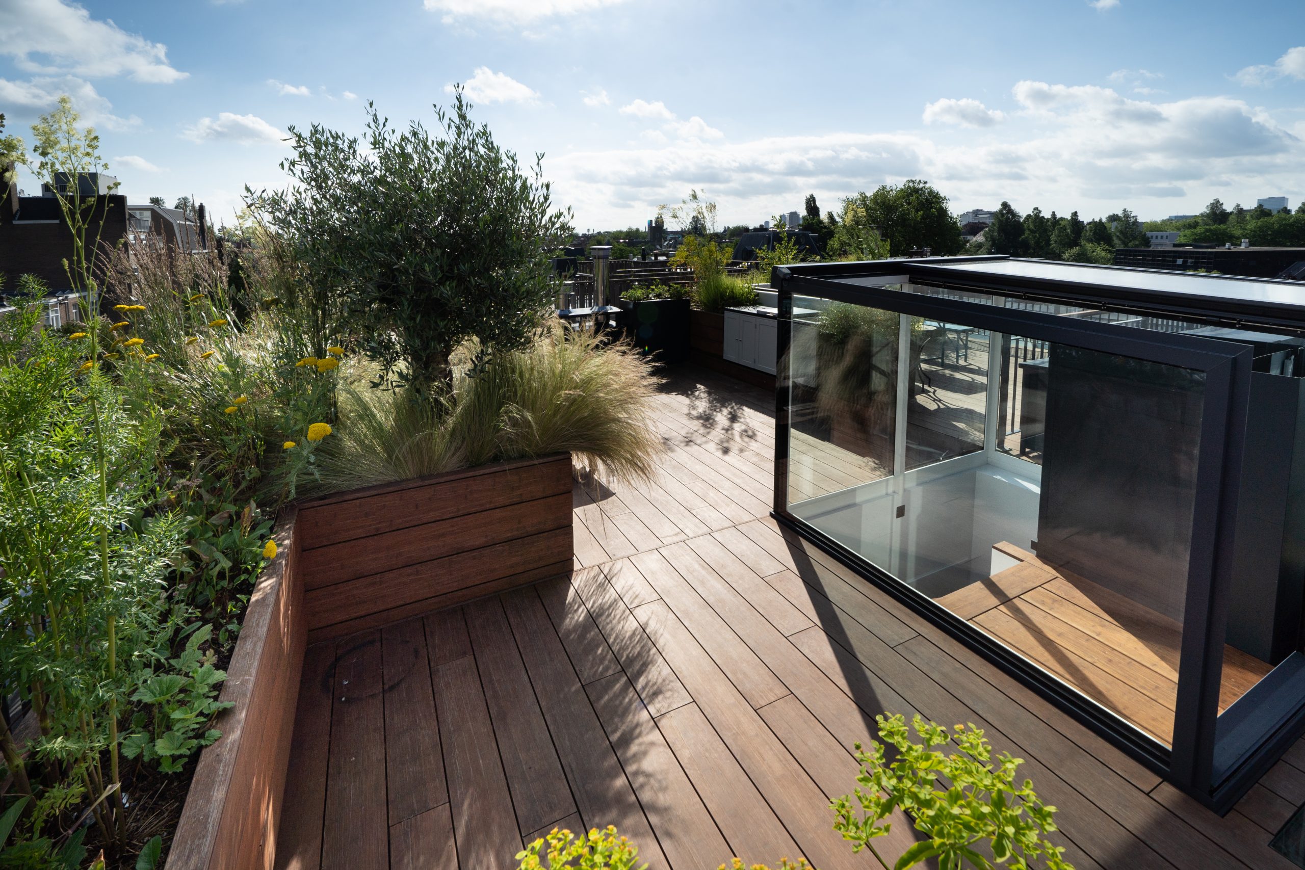 dakterras planten