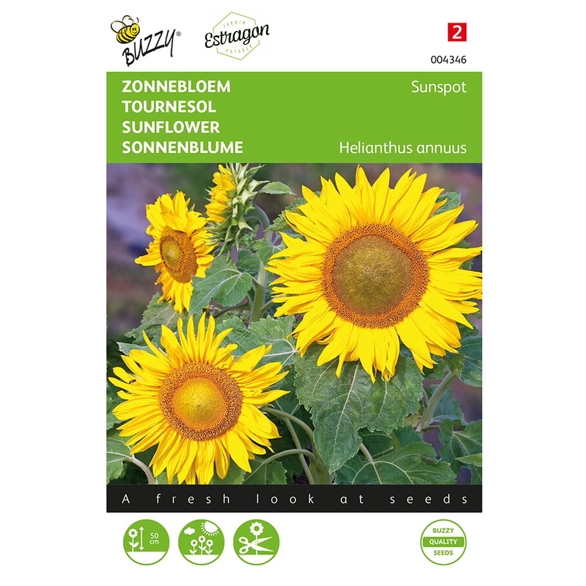 zonnebloemzaadjes planten