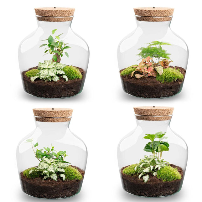 plant in glazen pot