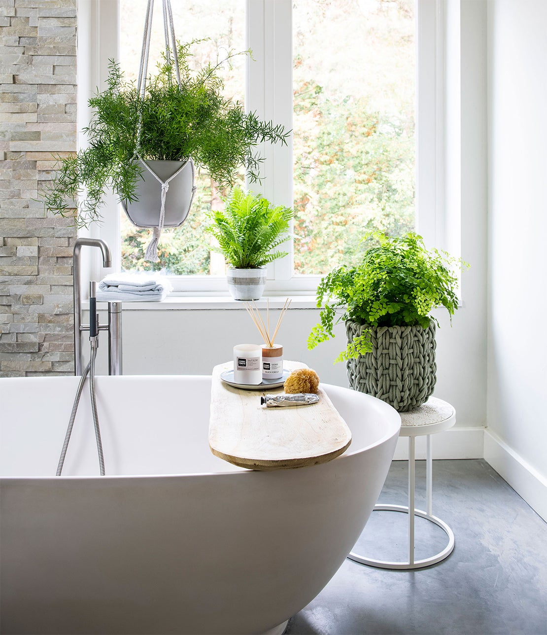 planten in de badkamer