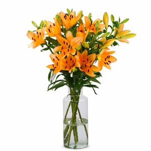 bloemen ekeren