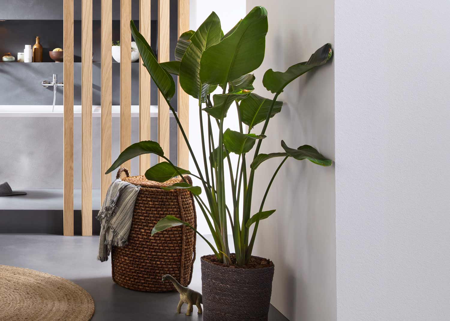 plant in badkamer
