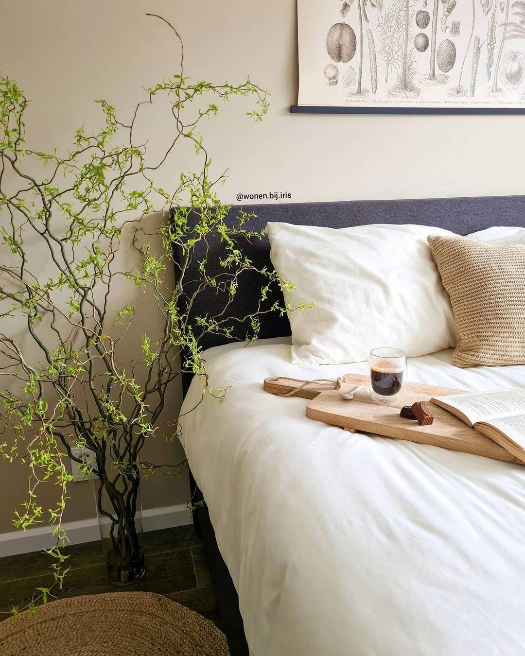 plant in slaapkamer