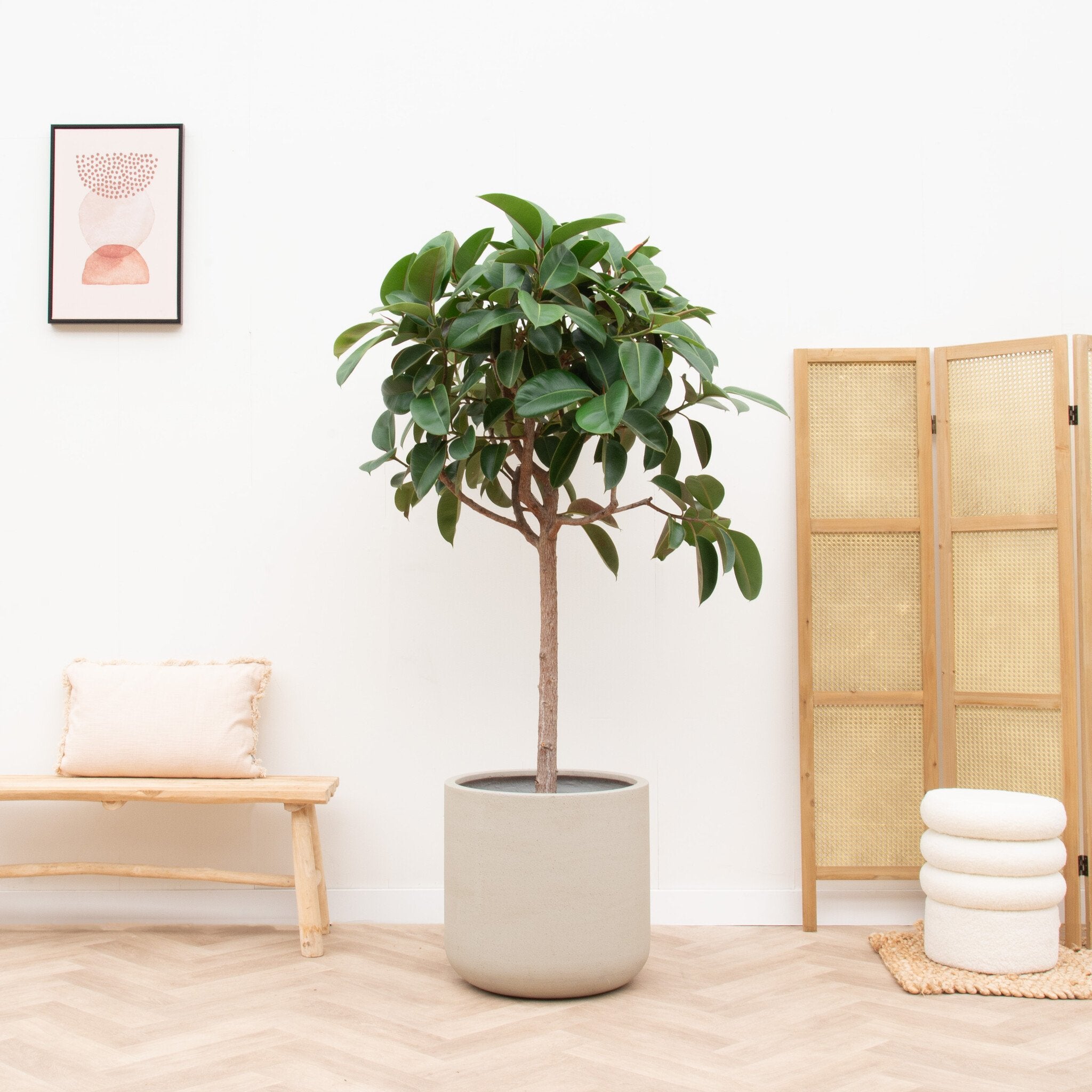 plant op stam binnen