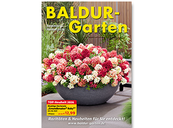 baldur planten