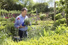 bloeiende planten augustus september