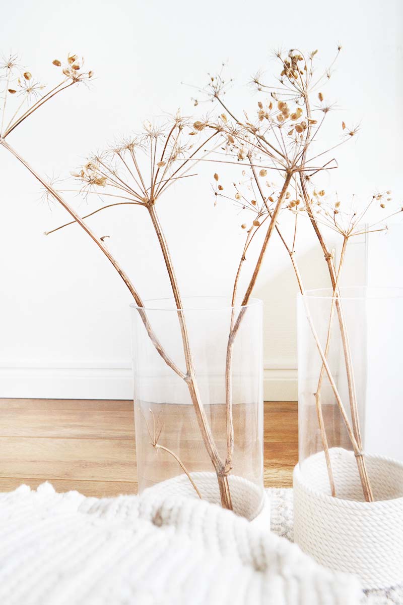 gedroogde planten