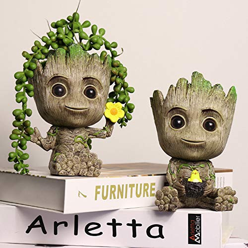 groot plant