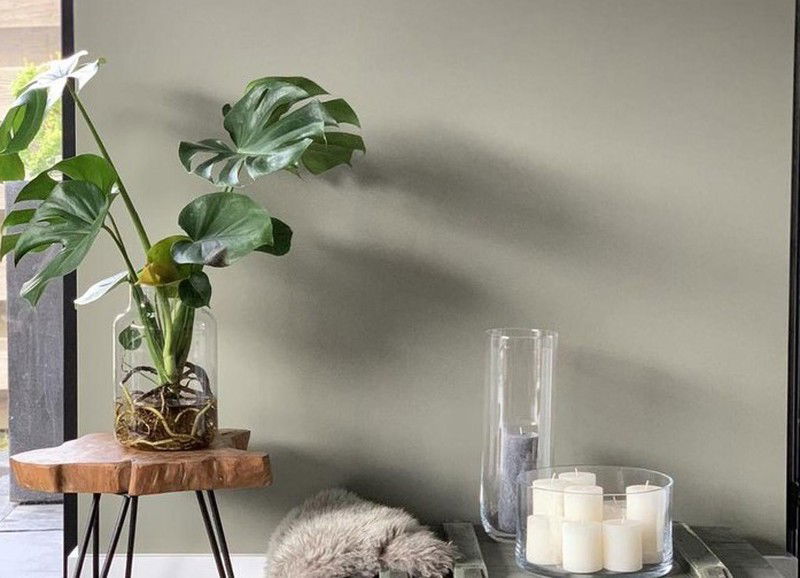 hydroponie planten