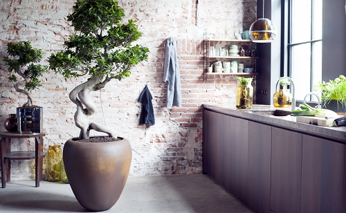 moderne planten